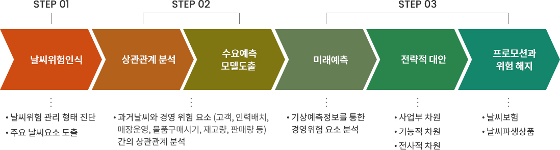 Step 1 날씨위험인식: 날씨위험 관리 형태 진단, 주요 날씨요소 도출 / Step 2  상관관계분석 / 수요예측 모델도출: 과거날씨와 경영 위험 요소(고객, 인력배치, 매장운영, 물품구매시기, 재고량, 판매량 등) 간의 상관관계 분석 / Step 3 미래예측: 기상예측정보를 통한 경영위험 요소 분석 / 전략적 대안: 사업부 차원, 기능적 차원, 전사적 차원 / 프로모션과 위험 해지: 날씨보험, 날씨파생상품